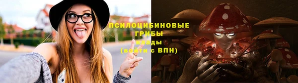 стаф Зеленодольск